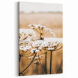 Farmhouse Wall Art - Bee on White Flowers in Rustic Field Print