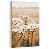 Farmhouse Wall Art - Bee on White Flowers in Rustic Field Print