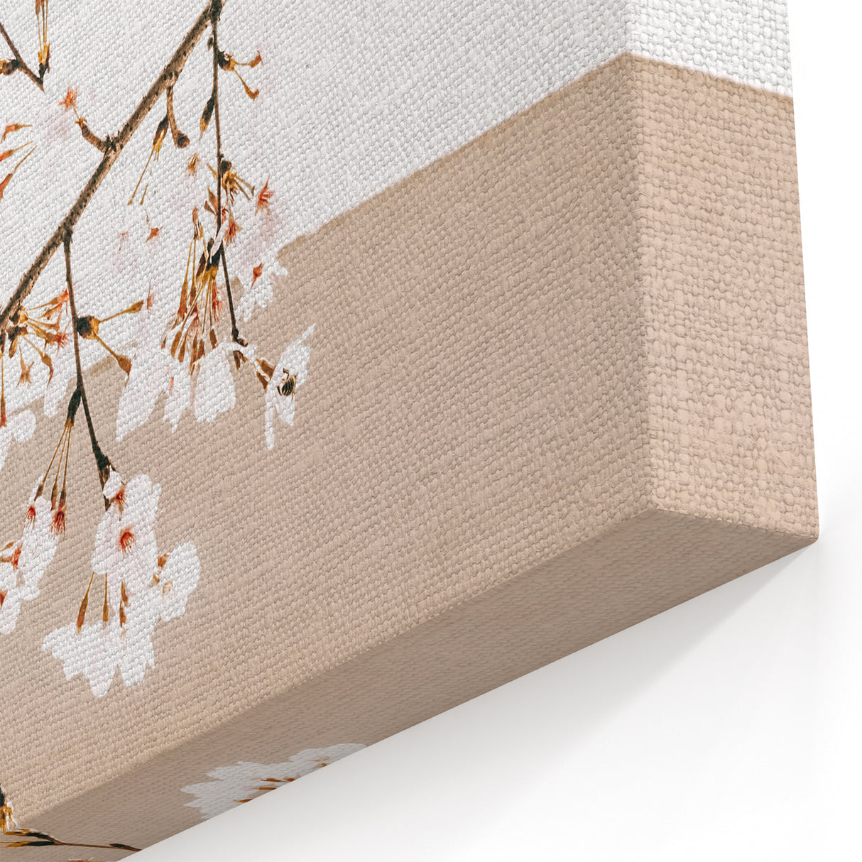 Farmhouse Wall Art - Delicate Blossom Branch in Minimalist Rustic Style
