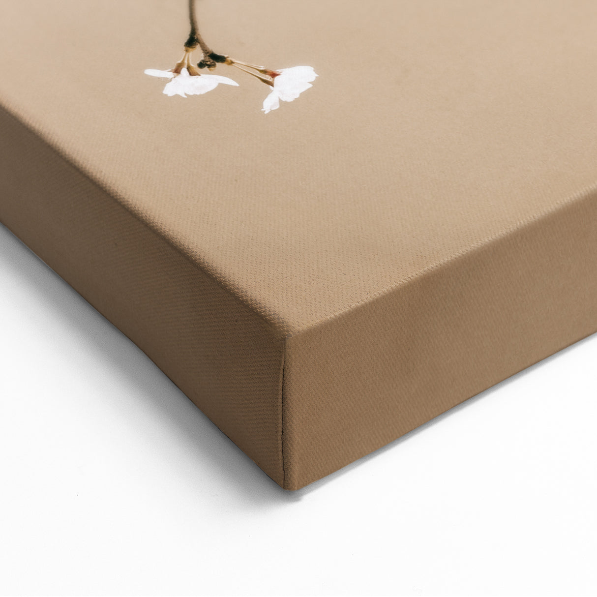 Farmhouse Wall Art - Delicate Blossom Branch in Minimalist Rustic Style