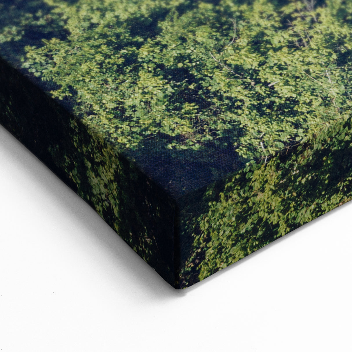 Austin Cityscape Art - Bridge Over River Texas Scenery Prints