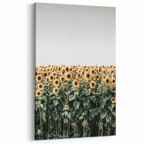 Farmhouse Wall Art - Vibrant Sunflower Field for Rustic Country Decor