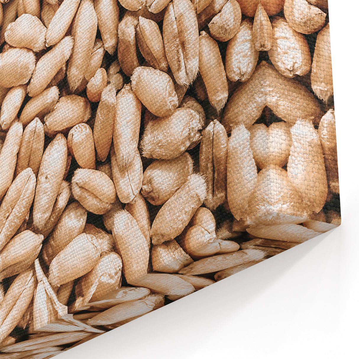 Farmhouse Wall Art - Wheat Grain Texture for Rustic Country Decor