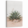 Farmhouse Wall Art - Desert Agave Plant for Rustic Country Decor