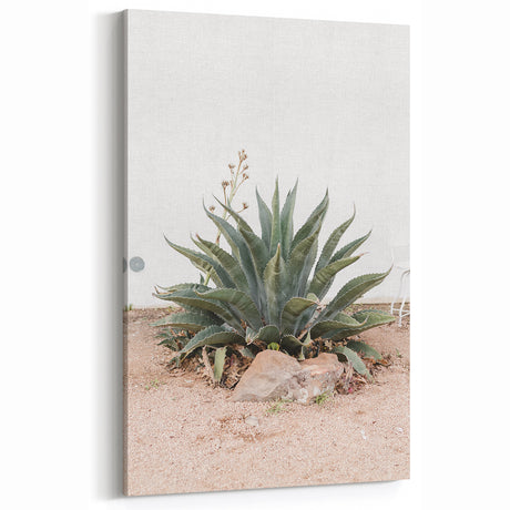 Farmhouse Wall Art - Desert Agave Plant for Rustic Country Decor