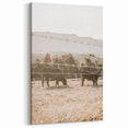 Farmhouse Wall Art - Cows Grazing in Pasture for Rustic Country Decor