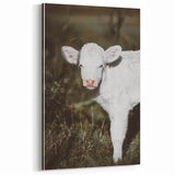 Farmhouse Wall Art: Rustic Calf Portrait in Country Meadow Décor