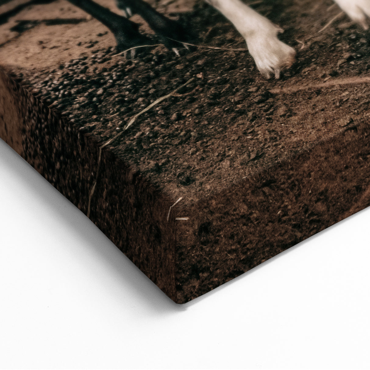 Farmhouse Wall Art: Rustic Barn with Goats and Sheep Country Décor