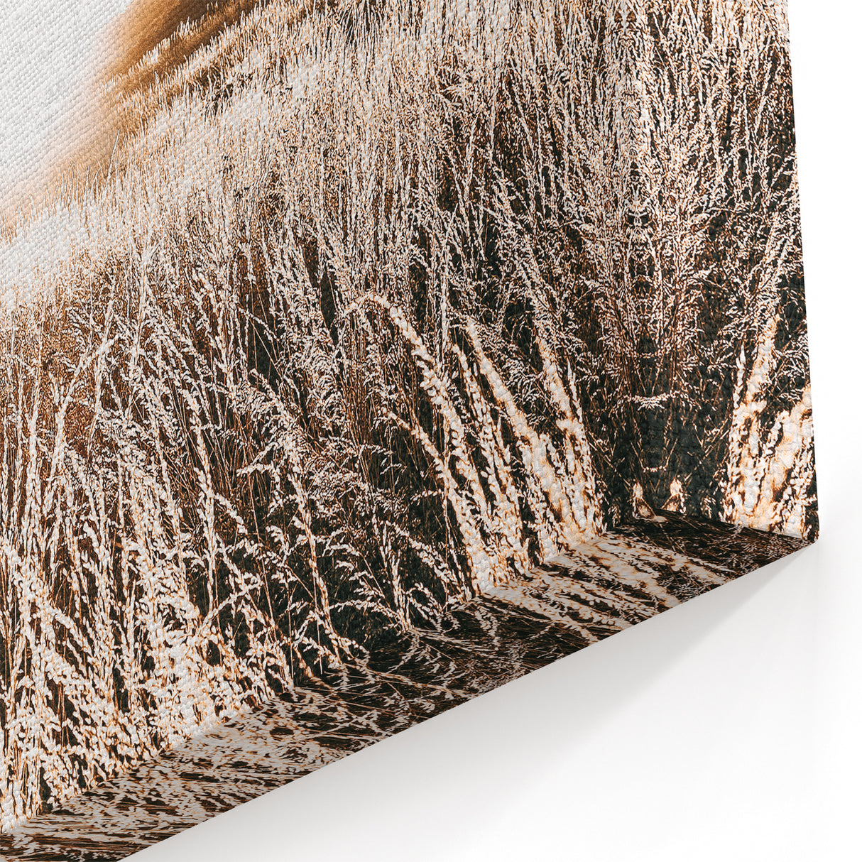 Farmhouse Wall Art: Golden Sunset Over Wheat Field Country Décor