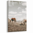 Farmhouse Wall Art: Horses Grazing in Rustic Meadow Country Décor