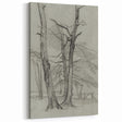 Sketch of Bare Trees - Mysterious Forest Gothic Wall Art Print