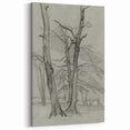 Sketch of Bare Trees - Mysterious Forest Gothic Wall Art Print