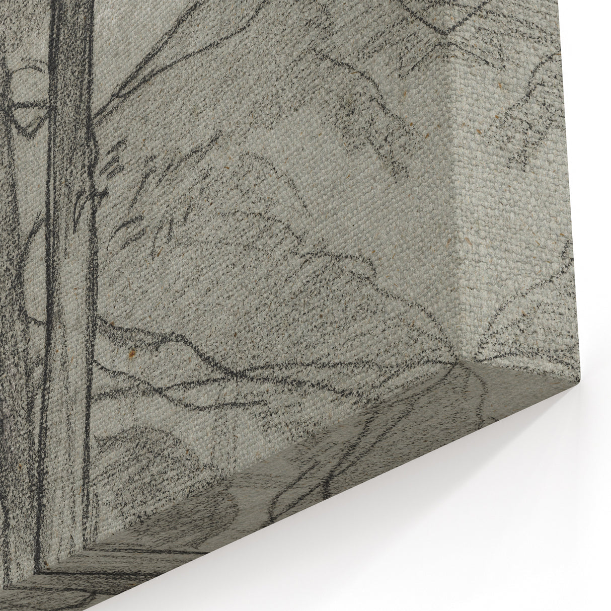 Sketch of Bare Trees - Mysterious Forest Gothic Wall Art Print