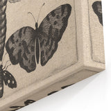 Vintage Gothic Insect Art - Moths and Butterflies Gothic Wall Print