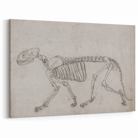 Vintage Gothic Prints - Anatomical Skeleton Art for Dark Decor Style