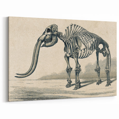 Gothic Artworks - Vintage Mammoth Skeleton Print for Dark Decor Style