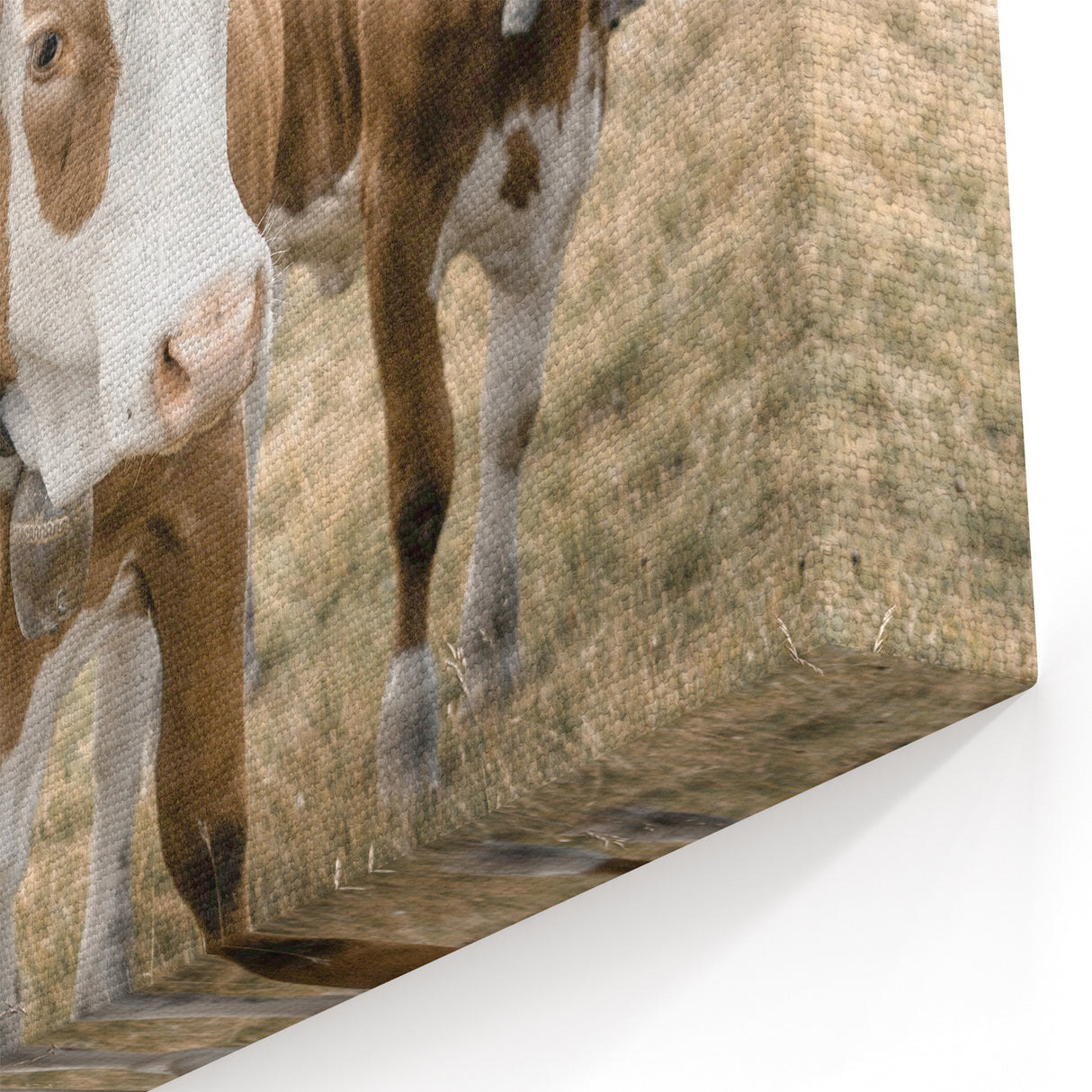 Farmhouse Wall Art: Pastoral Cows in Meadow for Rustic Farmhouse Decor