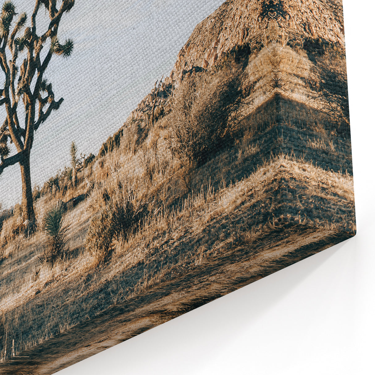 Farmhouse Wall Art: Joshua Tree Desert Scene for Rustic Country Decor