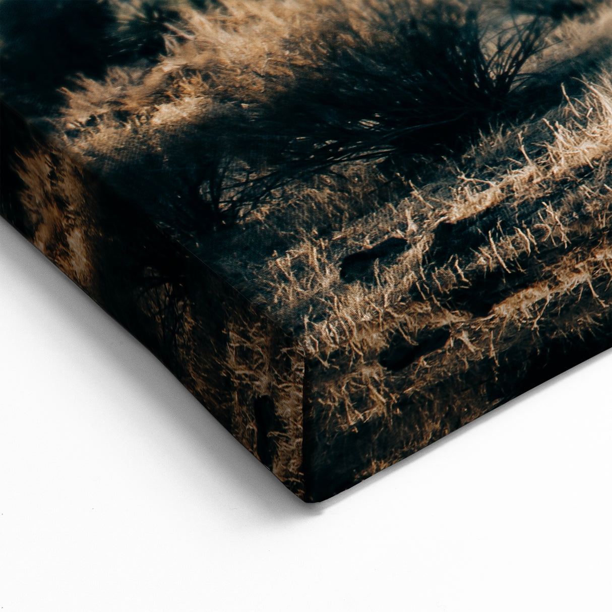 Farmhouse Wall Art: Joshua Tree Desert Scene for Rustic Country Decor