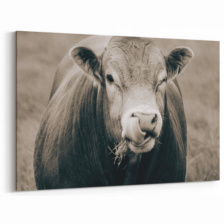 Farmhouse Wall Art - Rustic Country Style Bull Print for Vintage Decor