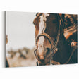 Country Style Horse Wall Art - Rustic Farmhouse Decor for Country Homes