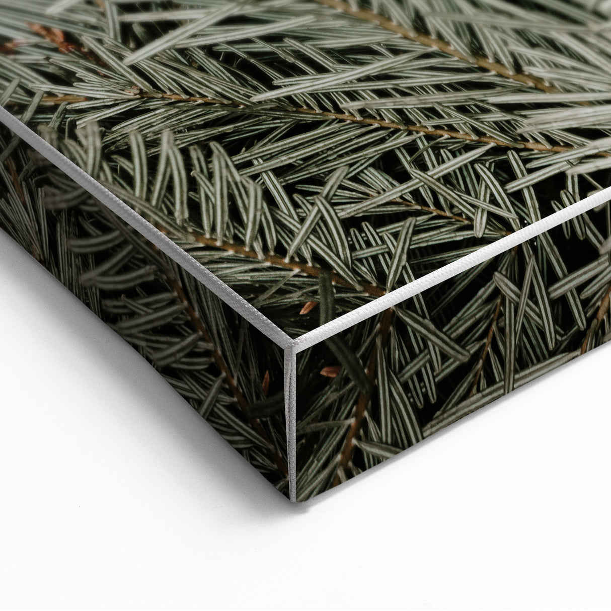 Evergreen Pine Needles Art - Rustic Nature Wall Decor