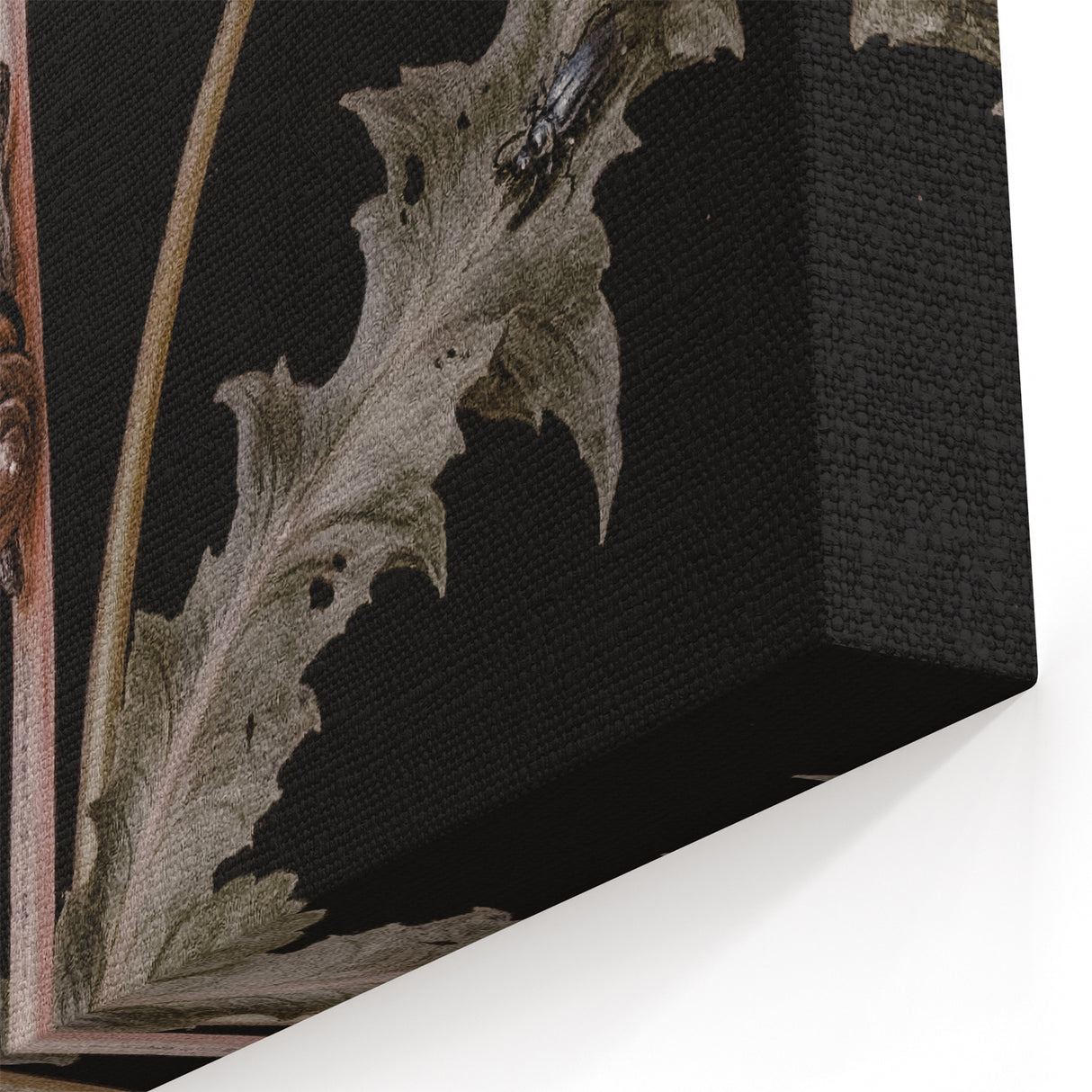 Dark Moody Wall Art - Botanical Elegance with Butterflies and Snails