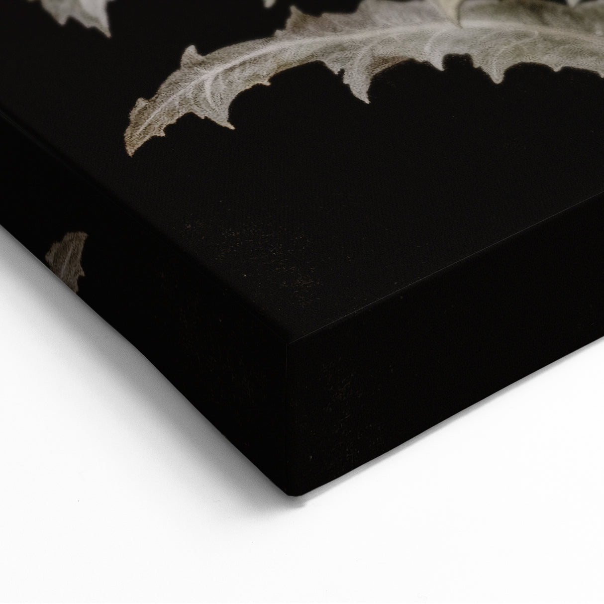 Dark Moody Wall Art - Botanical Elegance with Butterflies and Snails