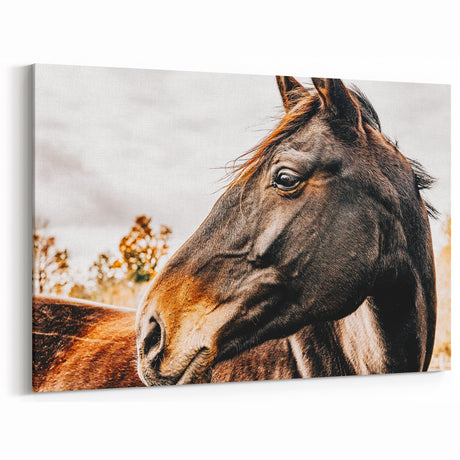 Rustic Horse Farmhouse Wall Art – Vintage Country Style Decor