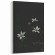 Ephemeral White Blossoms - Minimalist Floral Art