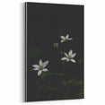 Ephemeral White Blossoms - Minimalist Floral Art