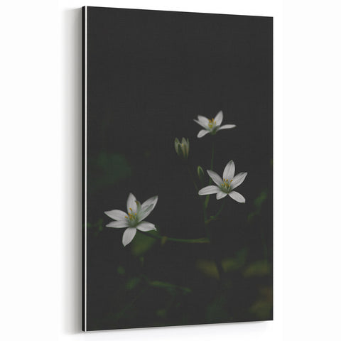 Ephemeral White Blossoms - Minimalist Floral Art