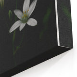 Ephemeral White Blossoms - Minimalist Floral Art