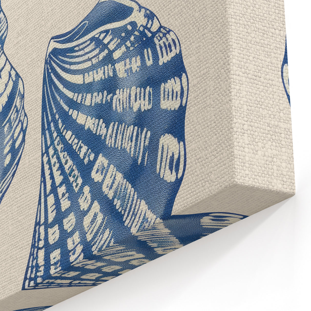 Coastal Wall Art: Blue Seashell Collection - Nautical Oceanic Decor