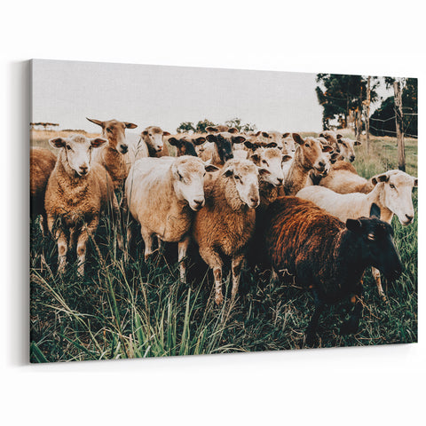 Farmhouse Sheep Wall Art – Rustic Country Style Decor for Home