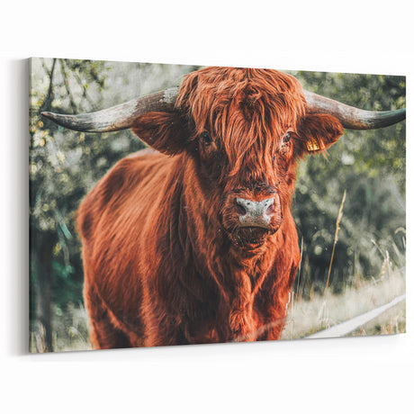 Rustic Highland Cow Wall Art – Farmhouse Country Style Decor