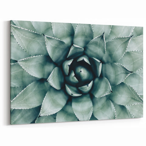 Farmhouse Succulent Wall Art – Rustic Botanical Decor for Home