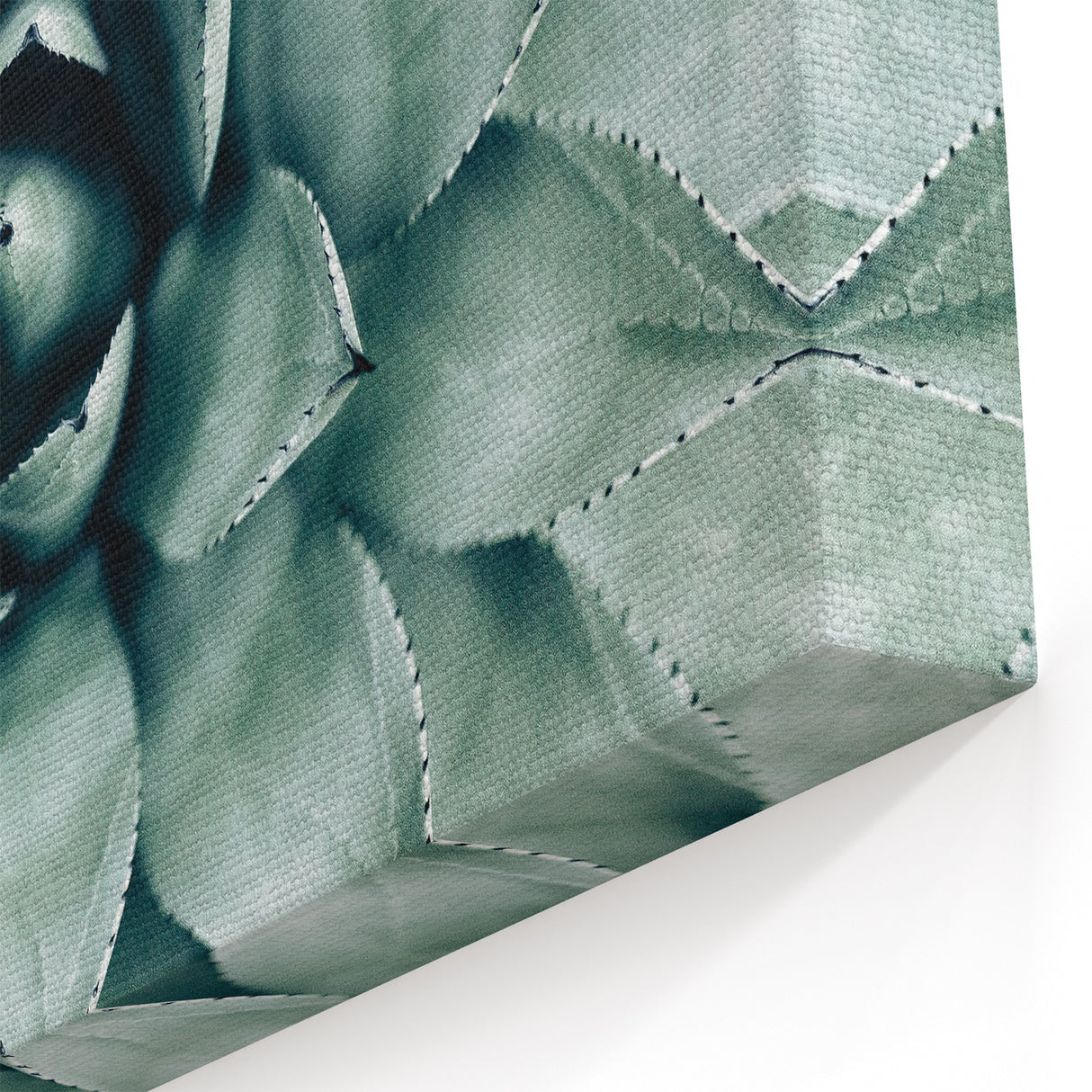 Farmhouse Succulent Wall Art – Rustic Botanical Decor for Home
