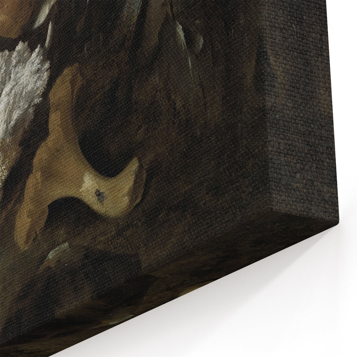 Dark Moody Mushroom Still Life - Atmospheric Botanical Wall Art Decor