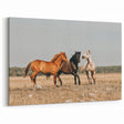 Farmhouse Wall Art: Horses Running Free - Rustic Country Decor