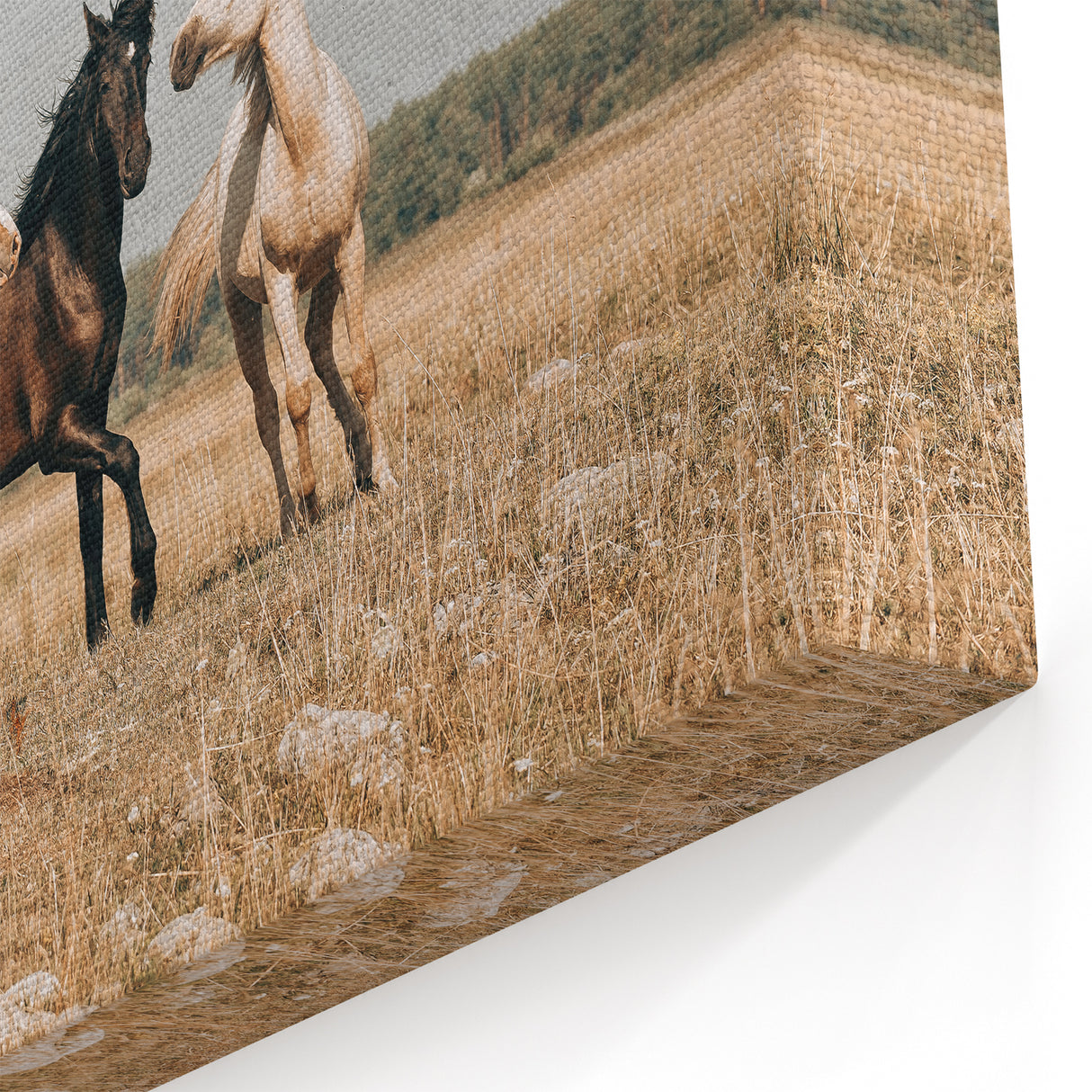 Farmhouse Wall Art: Horses Running Free - Rustic Country Decor