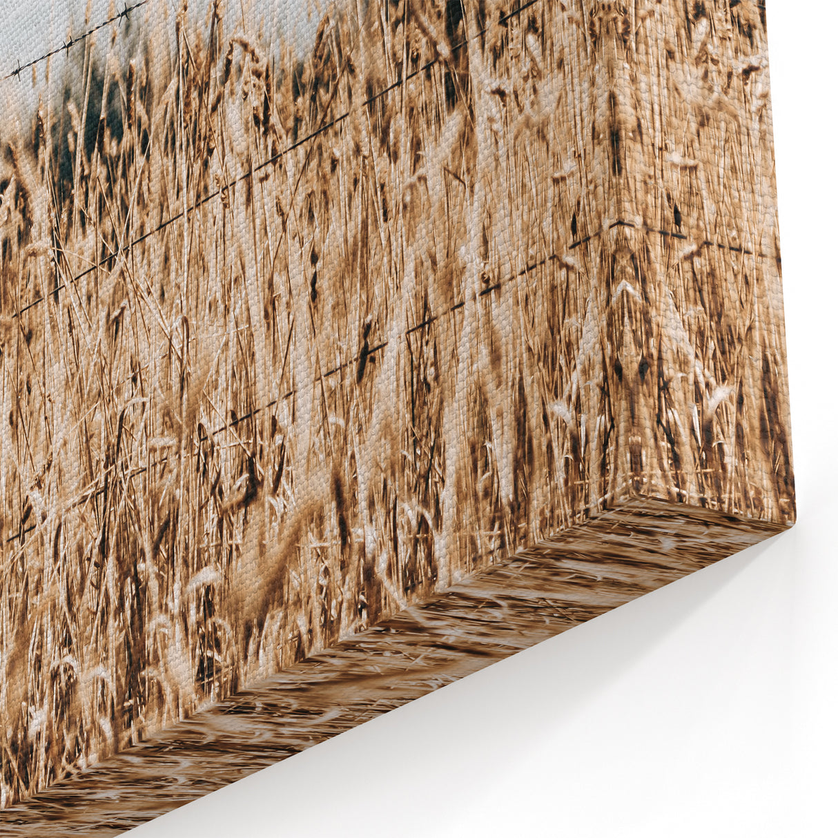 Farmhouse Wall Art: Rustic Fence in Wheat Field - Country Style Decor