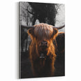 Majestic Highland Cow - Rustic Farmhouse Animal Art
