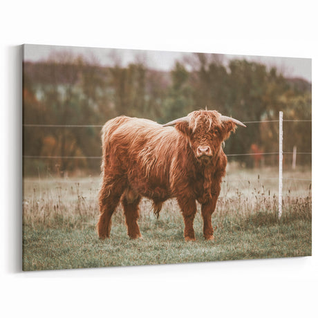 Farmhouse Wall Art: Highland Cow in Field - Rustic Country Decor