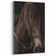 Intimate Horse Portrait - Deep Rustic Equine Art