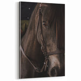 Intimate Horse Portrait - Deep Rustic Equine Art