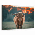 Farmhouse Wall Art: Highland Cow at Sunset - Rustic Country Decor
