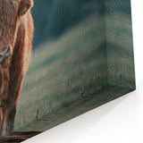 Farmhouse Wall Art: Highland Cow at Sunset - Rustic Country Decor
