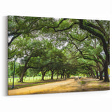 Houston Wall Art - Peaceful Park Path with Canopy of Trees and Benches