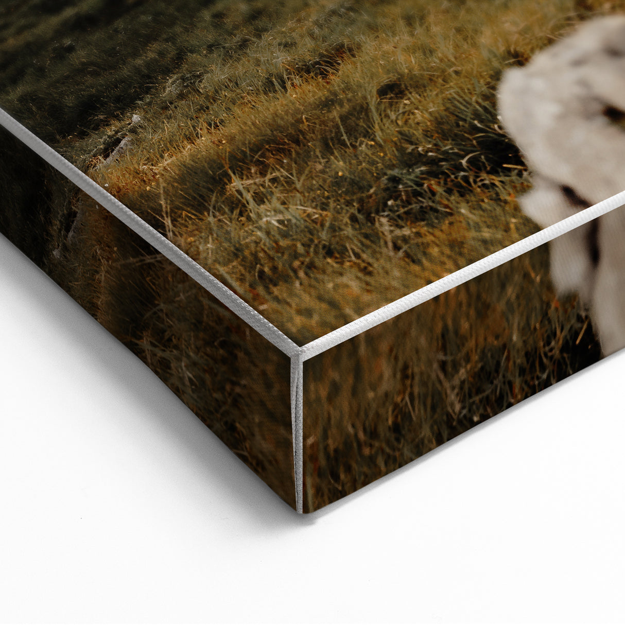 Mountain Cabin Serenity - Rustic Landscape Wall Art
